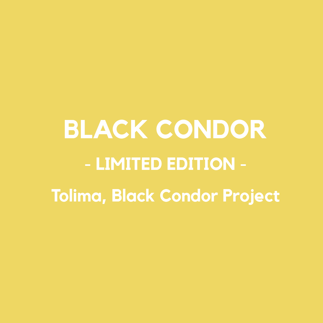Black Condor Screenshot 2025 10 23 at 19.24.33