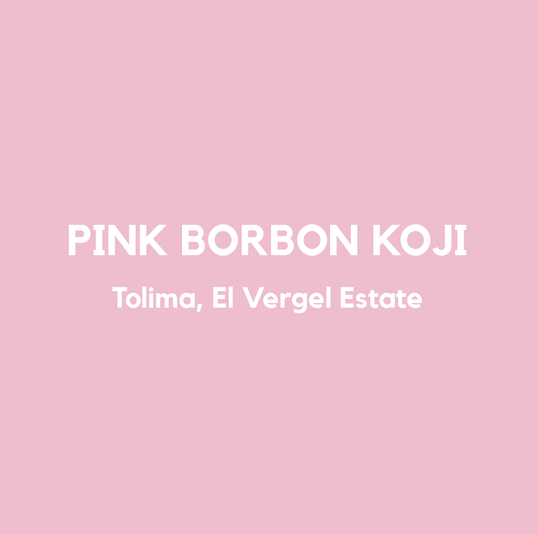 Pink Borbon Screenshot 2025 10 23 at 21.24.10